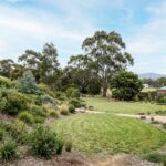 Victoria block clearing with native vegetation and established trees