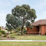 Arborist report assessment of a protected tree near a Melbourne home